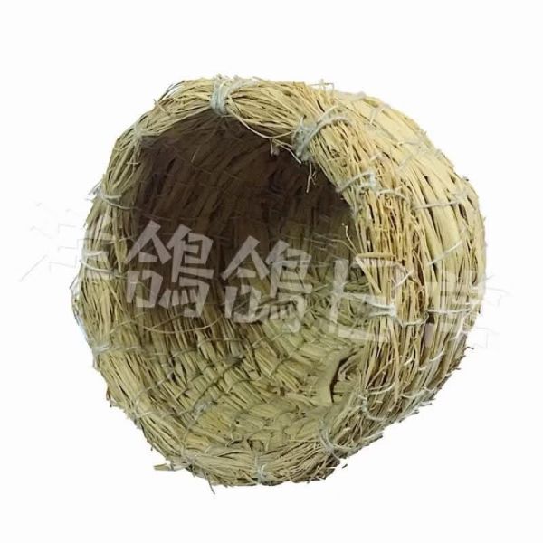 特小鳥巢 鳥巢