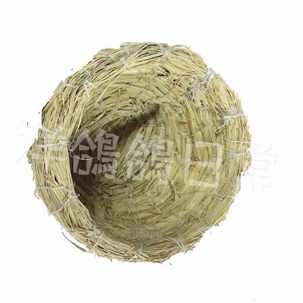特小鳥巢 鳥巢
