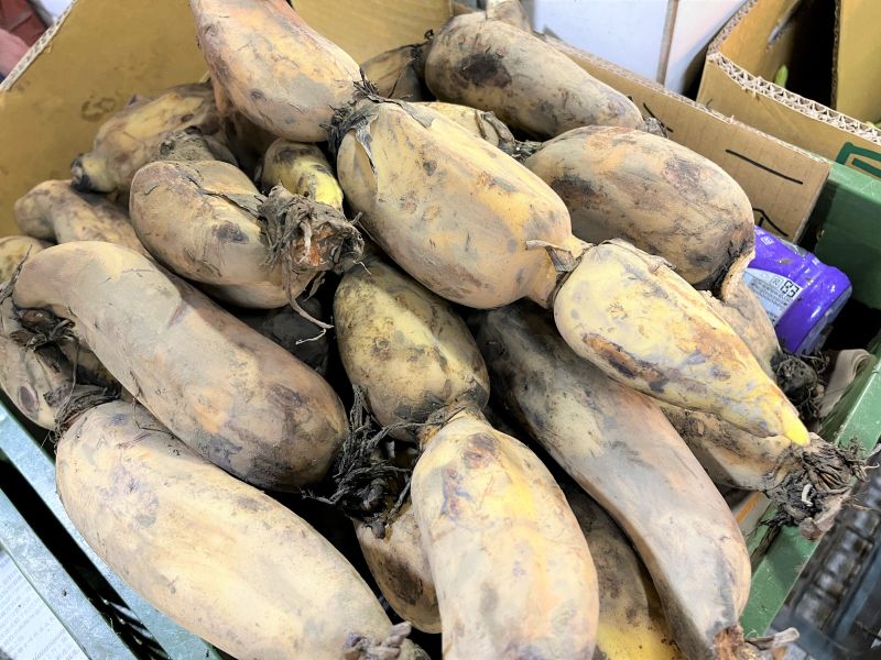 白河蓮藕 竹蓮市場,竹蓮嚴選,蓮藕,白河蓮藕,網購