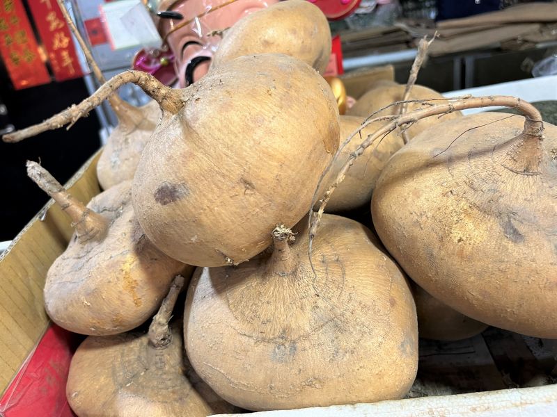 豆薯(刈薯) 