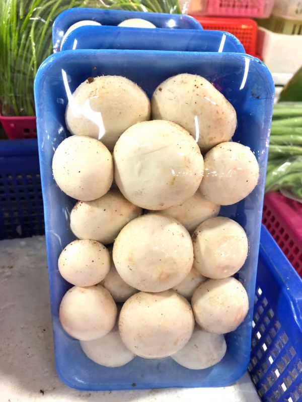 洋菇 竹蓮嚴選,竹蓮市場,洋菇,新鮮蔬菜,網購