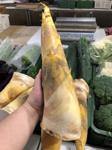 新鮮竹筍 