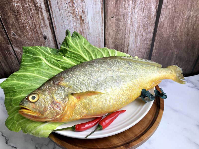 新鮮黃魚 竹蓮嚴選,竹蓮市場海鮮,新鮮海產,黃魚,新鮮黃魚