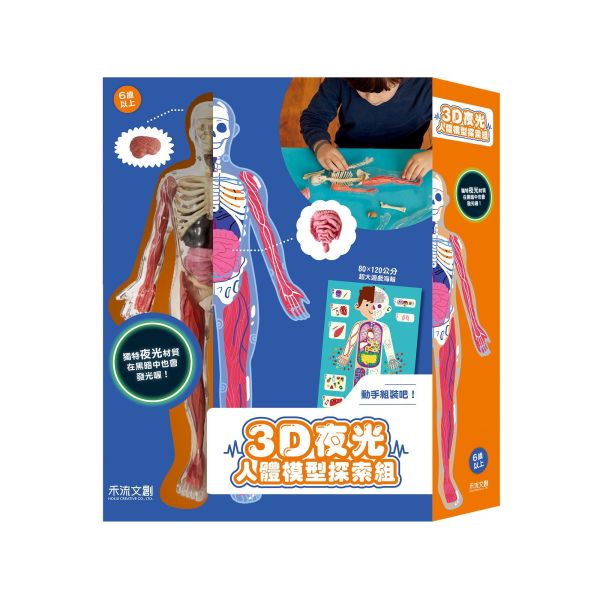 【操作書】3D夜光人體模型探索組 