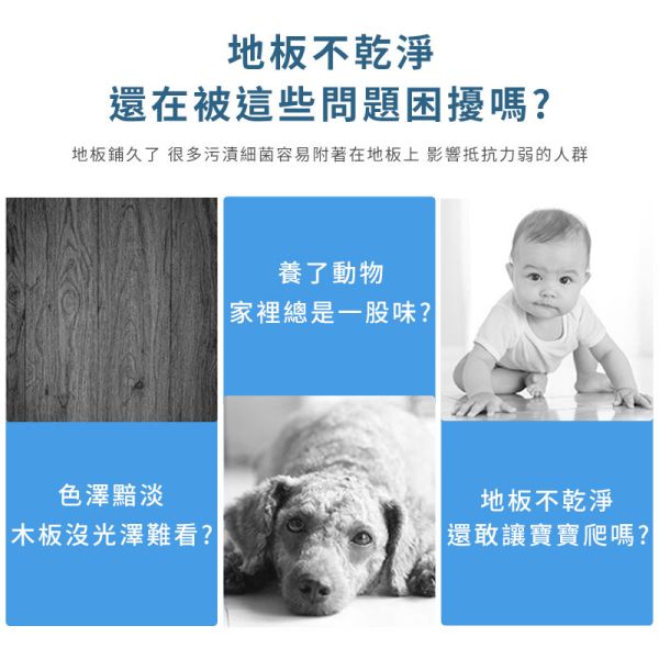 地板清潔片 攜帶式清潔片、去污片、拖地清潔片