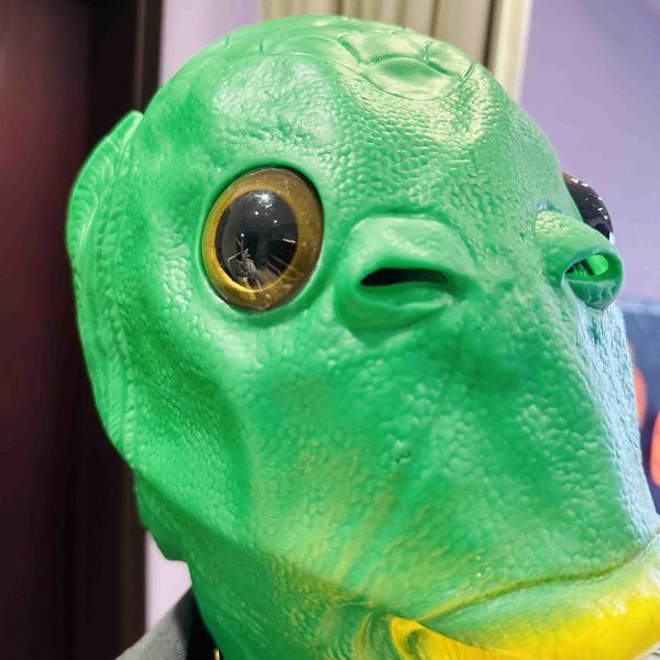 沙雕魚頭套 你才奇怪,沙雕魚頭套,綠魚人頭套,綠魚頭面具,綠魚怪頭套,萬聖節惡搞,地獄禮物,小廢物