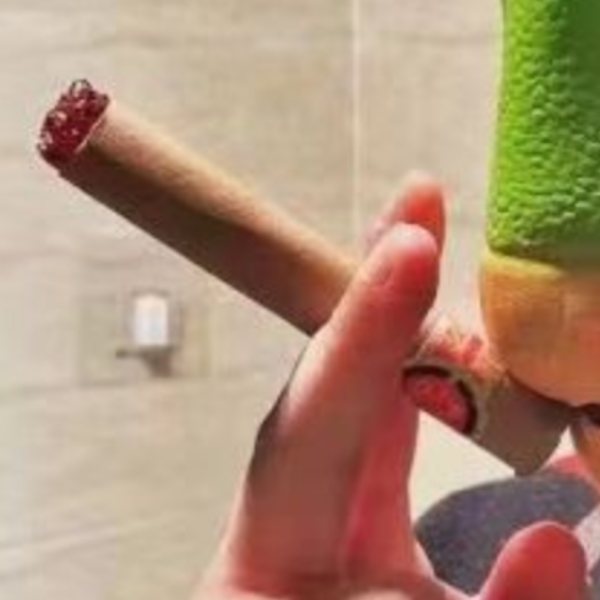 史瑞克帽 你才奇怪,現貨,史瑞克帽,搞怪頭套,萬聖節搞怪帽子,可愛針織毛線帽,卡通造型帽,綠色毛線帽,交換禮物,生日禮物,變裝