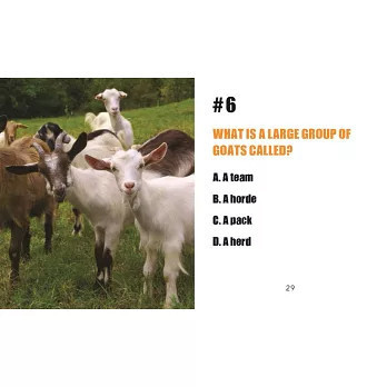 尖叫山羊 你才奇怪,尖叫山羊,美國玩具,桌上療癒小物,The Screaming Goat,交換禮物,小廢物,