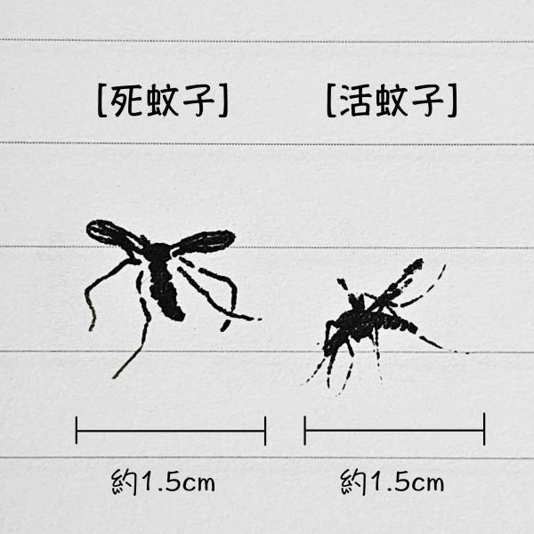 蚊子印章 你才奇怪,蚊子印章,整人印章,惡搞,新奇玩具,愚人節,崑蟲小印章,印章玩具,趣味整蠱印章,整人道具,交換禮物