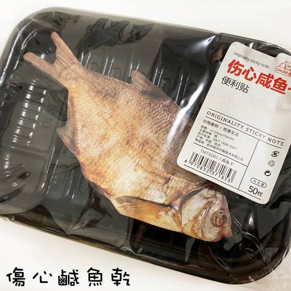 鹹魚便利貼 你才奇怪,鹹魚便利貼,便利貼,n次貼,肉片便利貼,食材便利貼,創意文具,創意便利貼,五花肉便利貼,學生禮物,仿真肉片