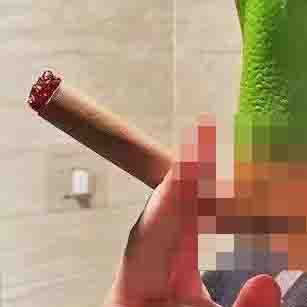 大便頭套 你才奇怪,現貨,便便頭套,搞怪造型頭套,大便帽,變裝,可愛帽子,生日禮物,聖誕節,交換禮物,地獄禮物,萬聖節,小廢物