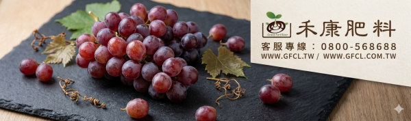 葡萄施肥白話文版 葡萄施肥白話文版