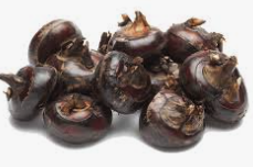 荸薺栽培管理這樣做就對了 白話文版 荸薺栽培管理這樣做就對了 白話文版