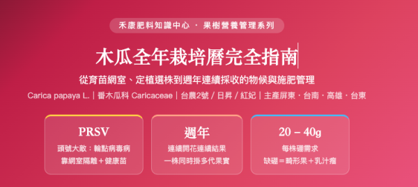 木瓜全年栽培曆完全指南 木瓜全年栽培曆完全指南