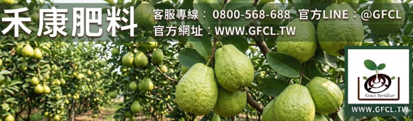 台灣芭樂品種完全圖鑑 台灣芭樂品種完全圖鑑