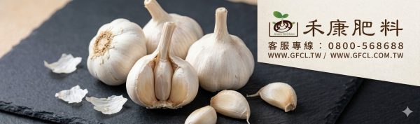 大蒜栽培管理白話文版 大蒜栽培管理白話文版
