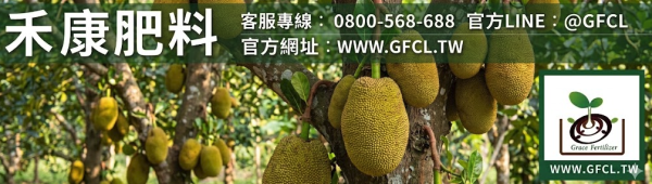 波羅蜜全年栽培曆完全指南 波羅蜜全年栽培曆完全指南
