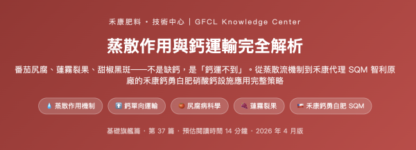 蒸散作用與鈣運輸完全解析 蒸散作用與鈣運輸完全解析