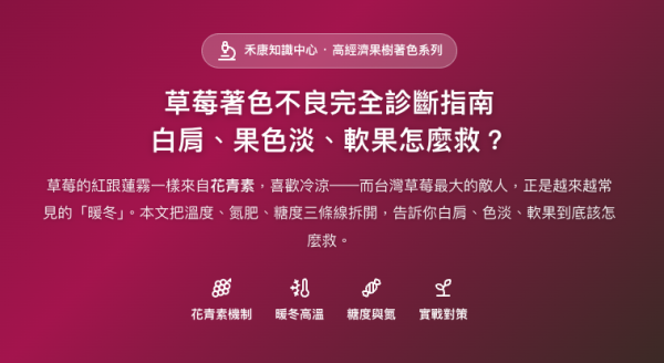 草莓著色不良完全診斷指南 草莓著色不良完全診斷指南