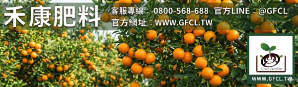 柳丁（柳橙）全年栽培曆完全指南 柳丁（柳橙）全年栽培曆完全指南