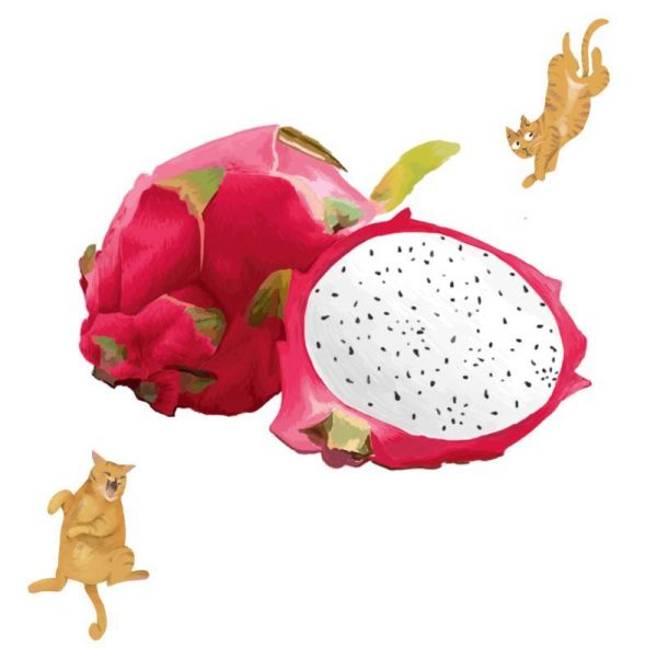 紅龍果栽培管理這樣做就對了 白話文版 紅龍果栽培管理這樣做就對了 白話文版