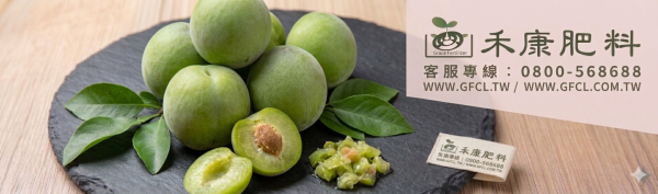 梅子栽培管理這樣做就對了 白話文版 梅子栽培管理這樣做就對了 白話文版