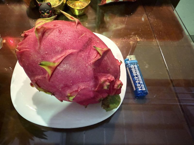 紅龍果栽培管理這樣做就對了 白話文版 紅龍果栽培管理這樣做就對了 白話文版