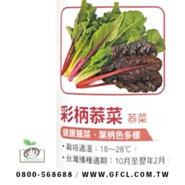 彩柄菾菜(君達菜, Swiss Chard) 彩柄菾菜,加茉菜,君達菜, Swiss Chard,