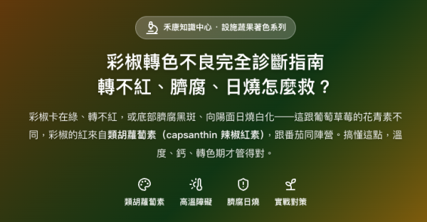 彩椒轉色不良完全診斷指南 彩椒轉色不良完全診斷指南