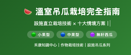 溫室吊瓜栽培完全指南 溫室吊瓜栽培完全指南
