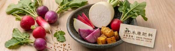 蘿蔔栽培管理這樣做就對了 白話文版 蘿蔔栽培管理這樣做就對了 白話文版