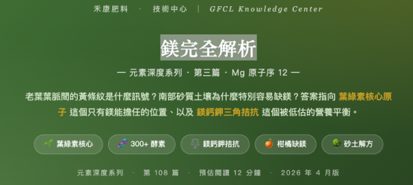 鎂完全解析 鎂完全解析