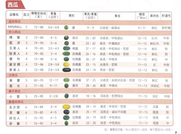 金太郎西瓜 金太郎西瓜