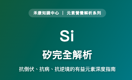 矽完全解析 矽完全解析