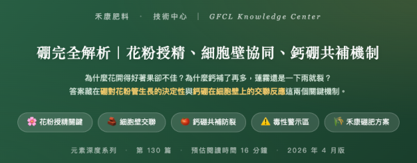 硼完全解析｜花粉授精、細胞壁協同、鈣硼共補機制 硼完全解析｜花粉授精、細胞壁協同、鈣硼共補機制