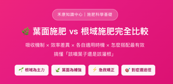 葉面施肥 vs 根域施肥完全比較 葉面施肥 vs 根域施肥完全比較