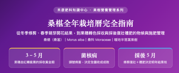 桑椹全年栽培曆完全指南 桑椹全年栽培曆完全指南