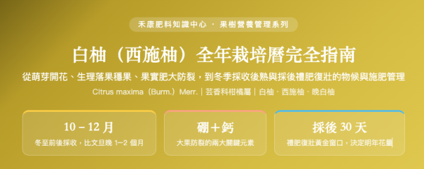 白柚（西施柚）全年栽培曆完全指南 白柚（西施柚）全年栽培曆完全指南
