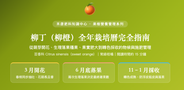 柳丁（柳橙）全年栽培曆完全指南 柳丁（柳橙）全年栽培曆完全指南