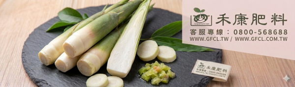 茭白筍栽培管理這樣做就對了 白話文版 茭白筍栽培管理這樣做就對了 白話文版