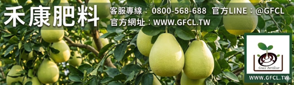白柚（西施柚）全年栽培曆完全指南 白柚（西施柚）全年栽培曆完全指南