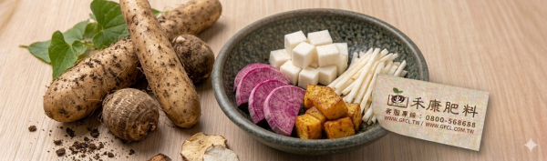 山藥栽培管理這樣做就對了 白話文版 山藥栽培管理這樣做就對了 白話文版