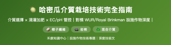 哈密瓜介質栽培技術完全指南 哈密瓜介質栽培完全指南
