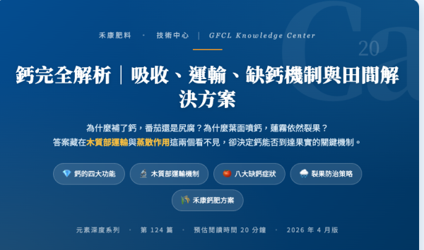 鈣完全解析｜吸收、運輸、缺鈣機制與田間解決方案 鈣完全解析｜吸收、運輸、缺鈣機制與田間解決方案