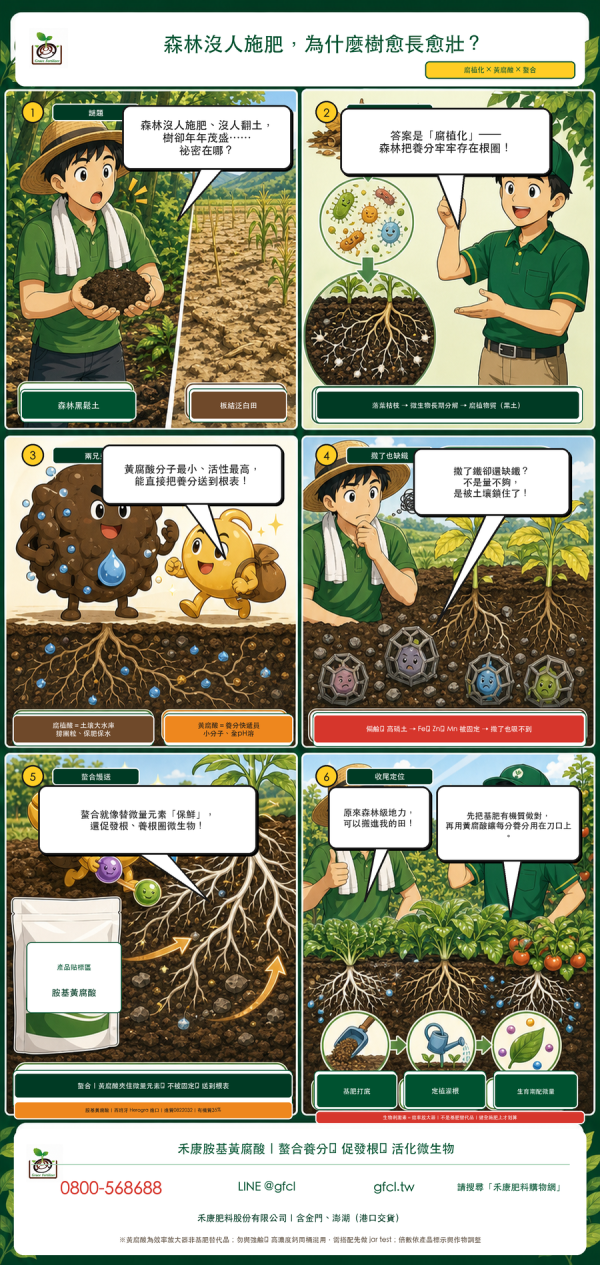 森林為什麼不用施肥？——黃腐酸 森林為什麼不用施肥？——黃腐酸
