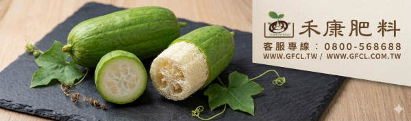 絲瓜栽培管理 白話文版 絲瓜栽培管理 白話文版