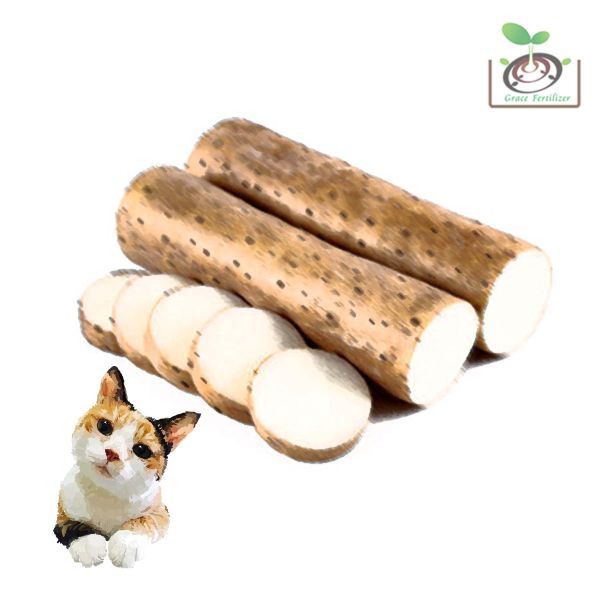 山藥栽培管理這樣做就對了 白話文版 山藥栽培管理這樣做就對了 白話文版