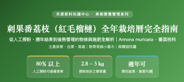 刺果番荔枝（紅毛榴槤）全年栽培曆完全指南 刺果番荔枝（紅毛榴槤）全年栽培曆完全指南