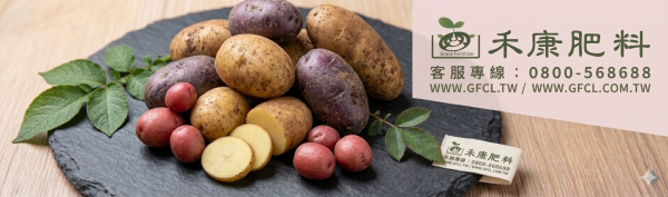 馬鈴薯栽培管理這樣做就對了 白話文版 馬鈴薯栽培管理這樣做就對了 白話文版