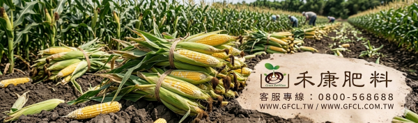 玉米施肥白話文版 玉米施肥白話文版
